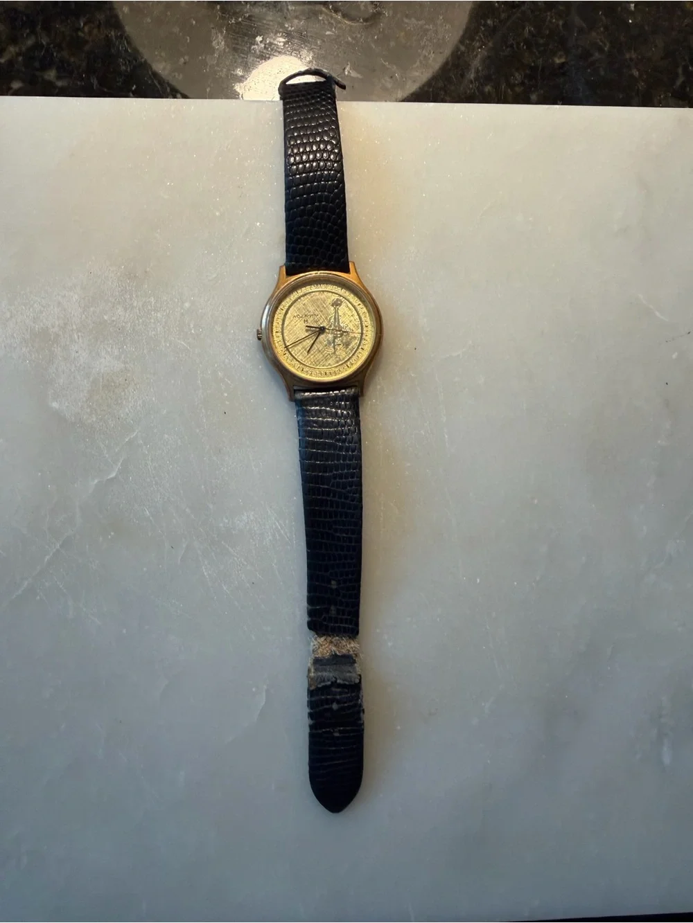 Hamilton 9812 Genuine Leather Quartz Analog Men's Watch